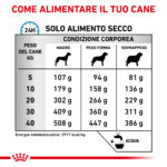 royal-canin-dog-veterinary-diet-anallergenic-gallery (3)