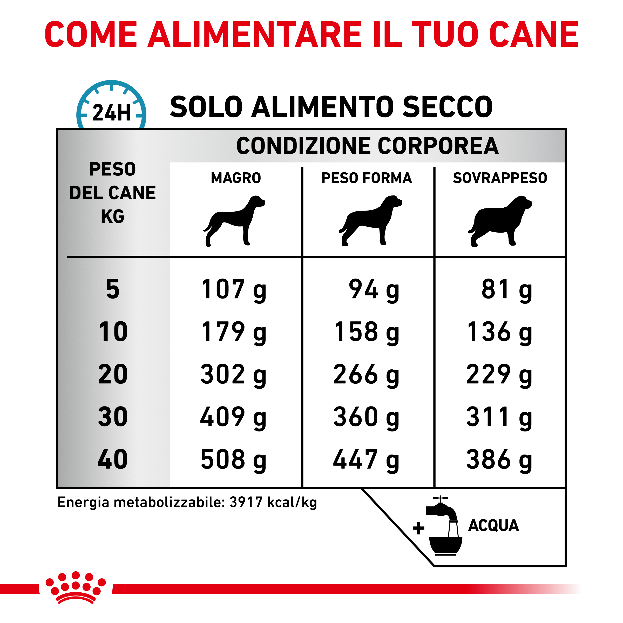 royal-canin-dog-veterinary-diet-anallergenic-gallery (3)