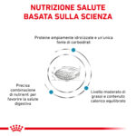 royal-canin-dog-veterinary-diet-hypoallergenic-moderate-calorie (1)