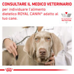 royal-canin-dog-veterinary-diet-sensitivity-control-gallery (5)