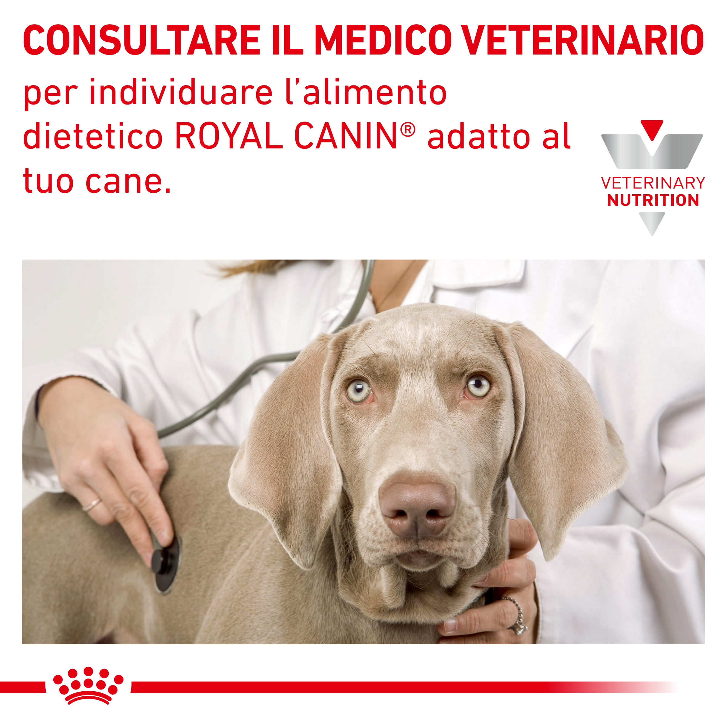 royal-canin-dog-veterinary-diet-sensitivity-control-gallery (5)