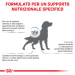 royal-canin-dog-veterinary-diet-sensitivity-control-gallery (6)