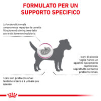 Supporto specifico per problemi renali nei cani