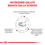 Nutrizione scientifica per cani di piccola taglia