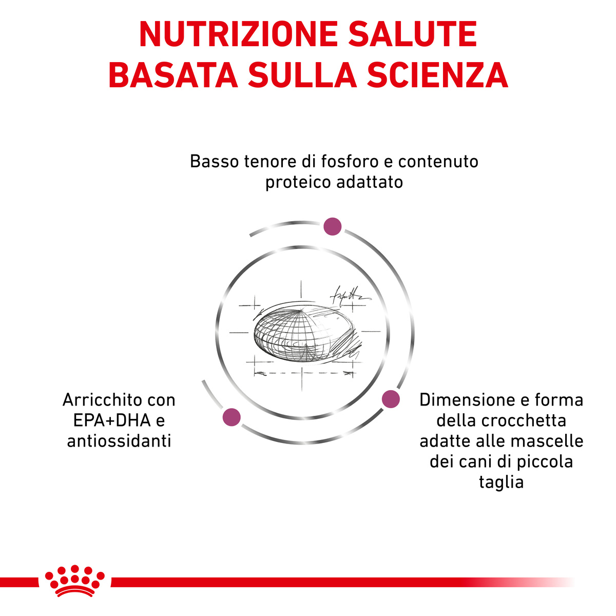 Nutrizione scientifica per cani di piccola taglia