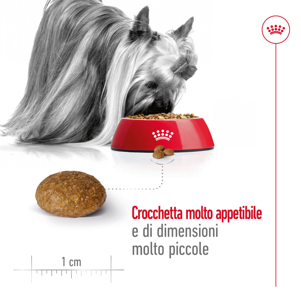 royal-canin-dog-x-small-adult-8-gallery-7