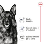 Pastore tedesco con benefici nutrizionali evidenziati