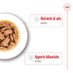 Piatto di cibo umido per cane