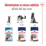 Alimentazione Royal Canin per età del cane