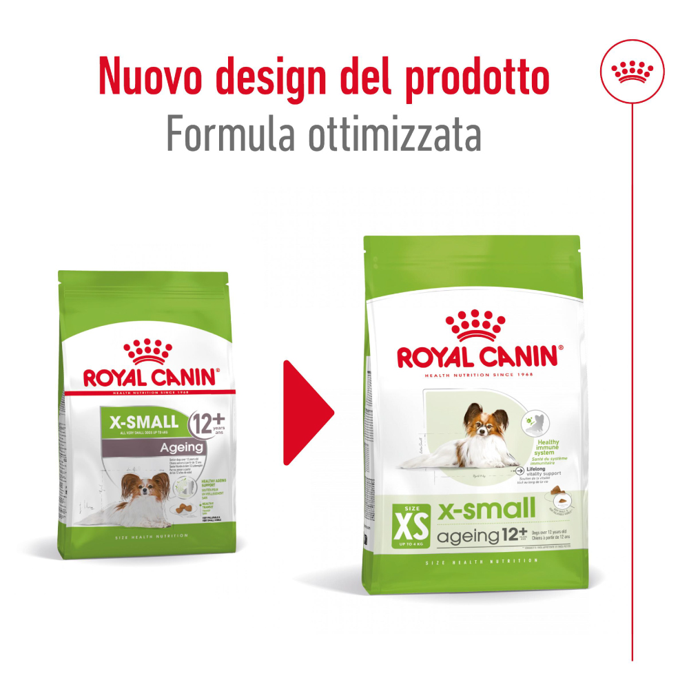royal-canin-shn-dog-x-small-ageing-12-gallery-2