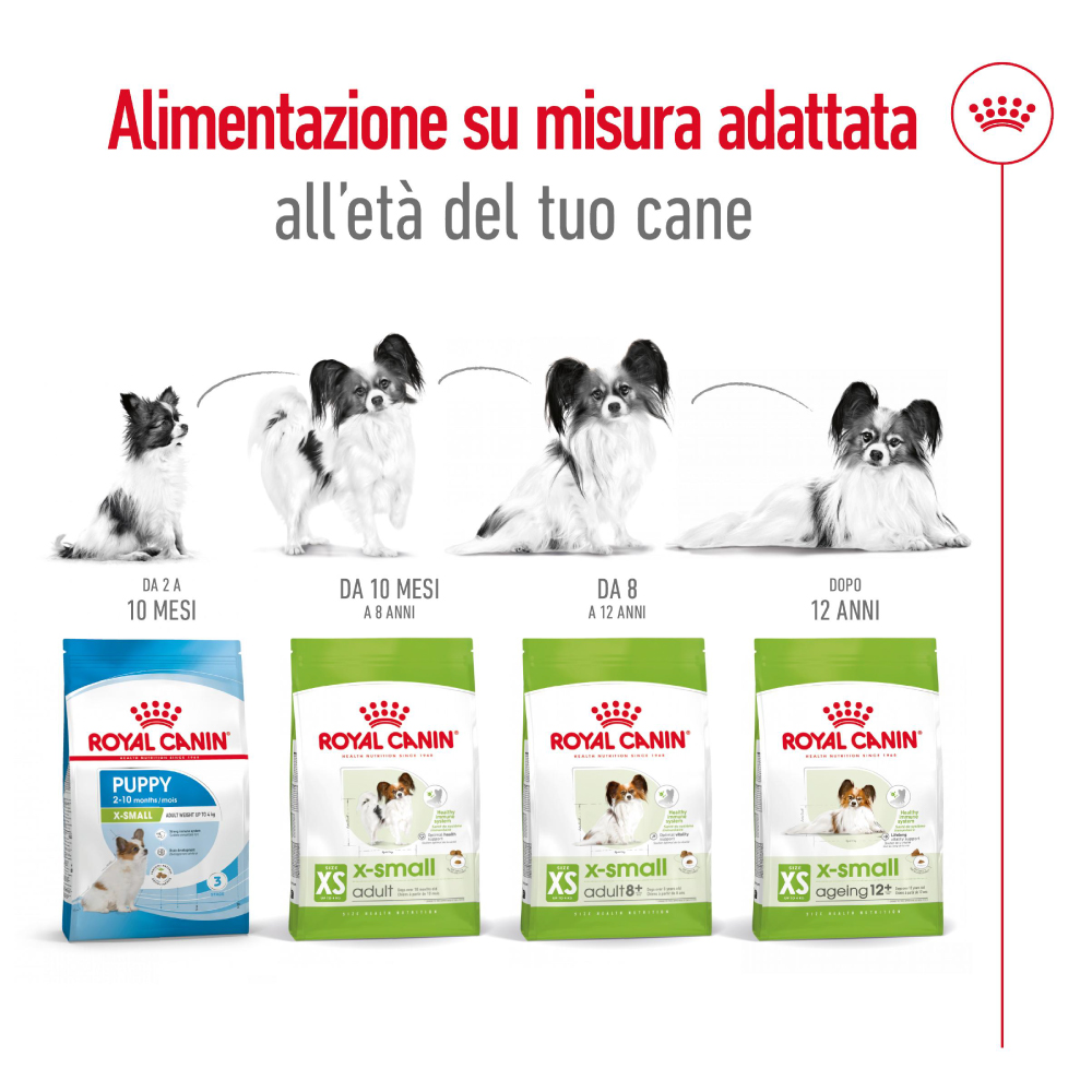 royal-canin-shn-dog-x-small-ageing-12-gallery-7