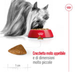 royal-canin-shn-dog-x-small-ageing-12-gallery-8