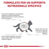 Infografica sui problemi digestivi nei gattini