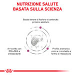 royal-canin-vhn-dog-veterinary-diet-renal-select-gallery-3