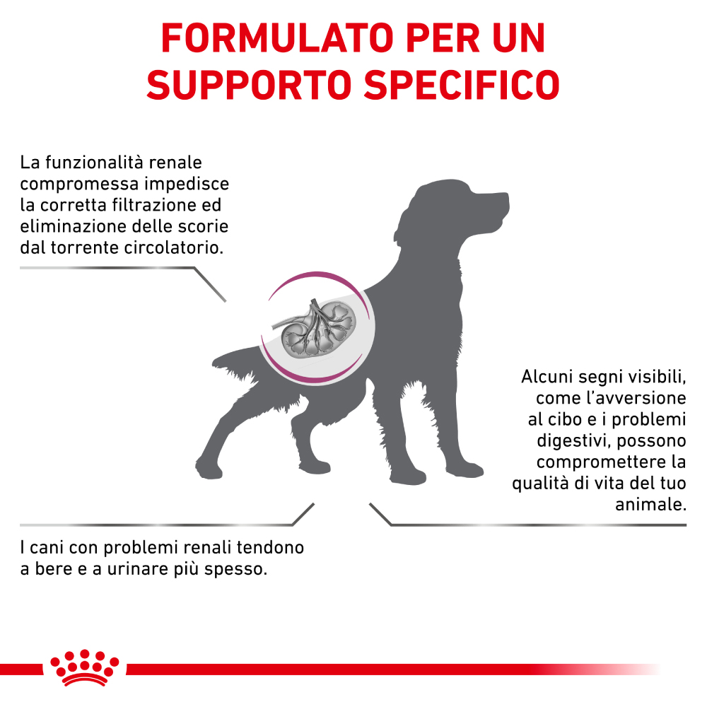 royal-canin-vhn-dog-veterinary-diet-renal-select-gallery-4