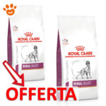 royal-canin-vhn-dog-veterinary-diet-renal-select-mp