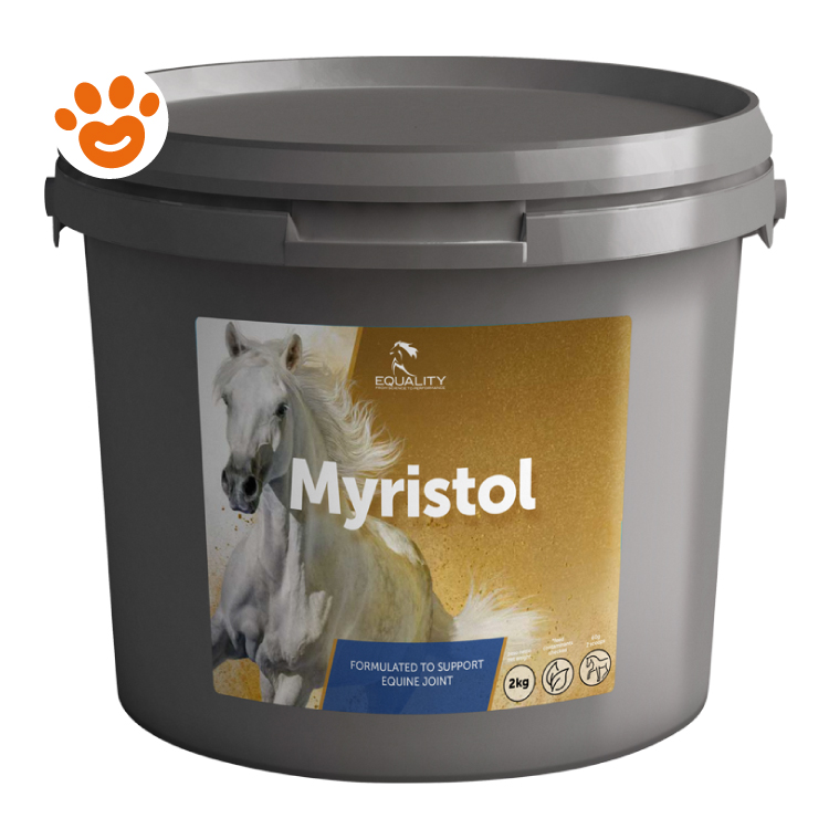 equality-horse-myristol