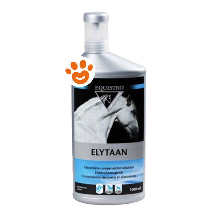 equistro-horse-performance-elytaan