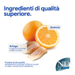 Arancia e aringa ingredienti di alta qualità