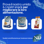 Prodotti N&D Ocean cibo umido, secco e snack