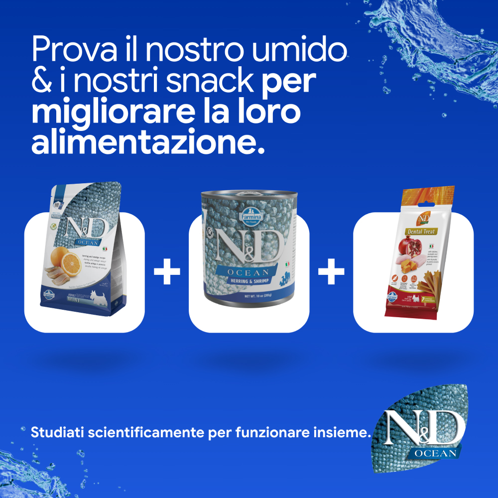 Prodotti N&D Ocean cibo umido, secco e snack