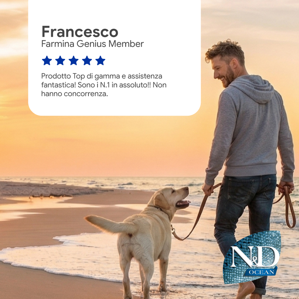 Uomo con cane al tramonto sulla spiaggia