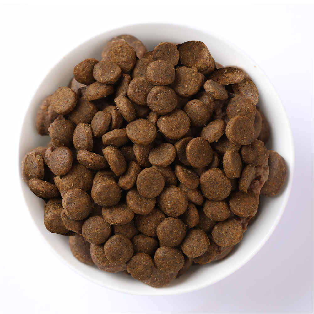 Ciotola di crocchette per cani