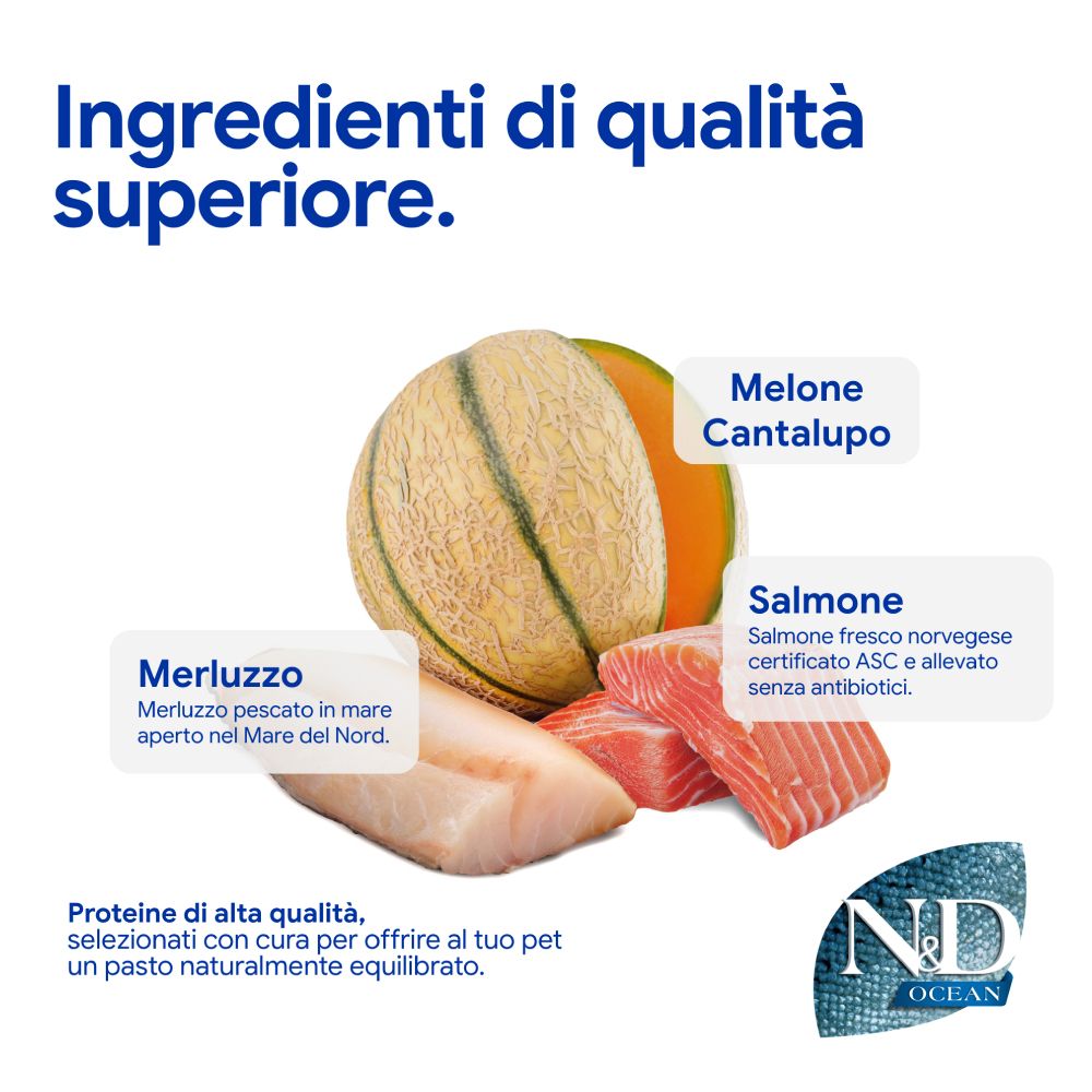 Melone cantalupo, salmone e merluzzo freschi