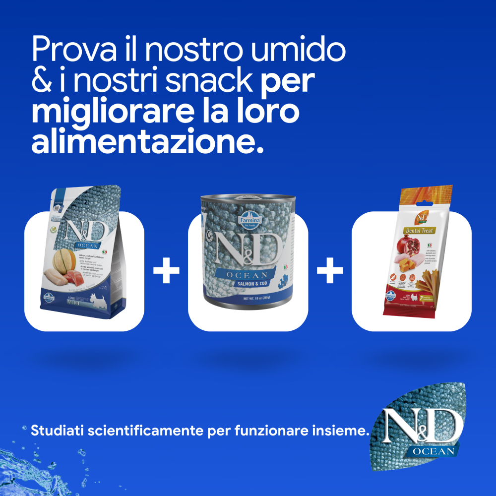 Prodotti per cani ND Ocean umido e snack
