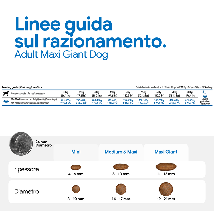 Guida razione e dimensioni crocchette cane maxi