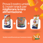 Prodotti N&D Pumpkin cibo umido e snack
