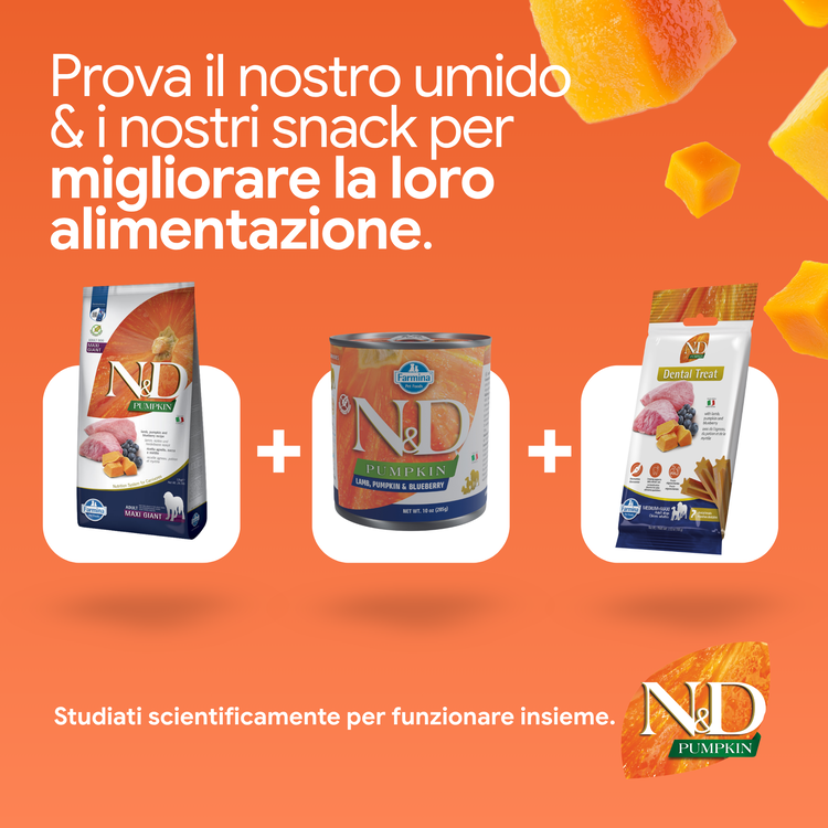 Prodotti N&D Pumpkin cibo umido e snack