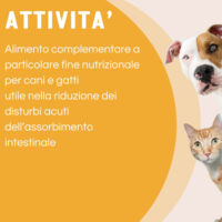 Cane e gatto con testo informativo nutrizionale