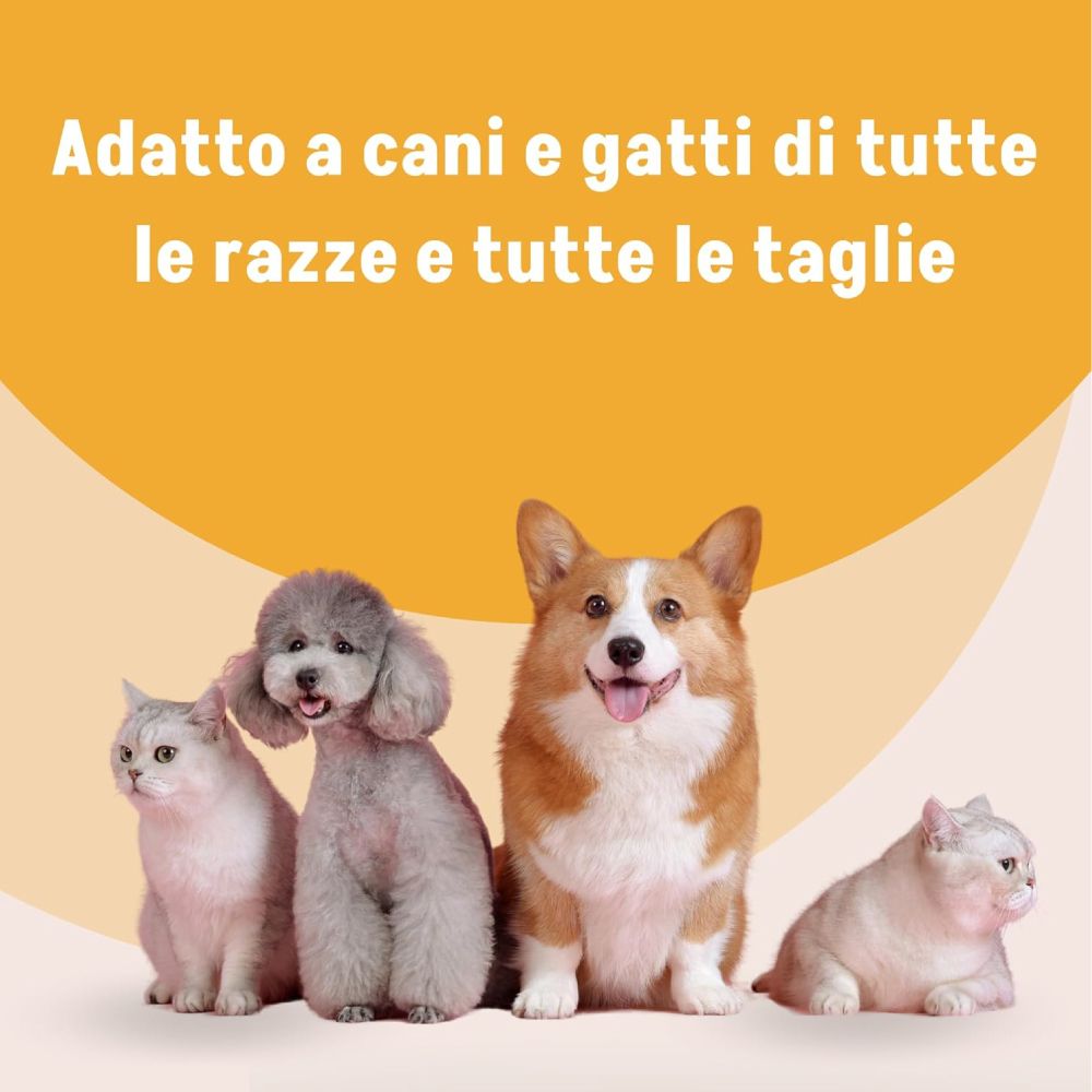 Cani e gatti di diverse razze e taglie
