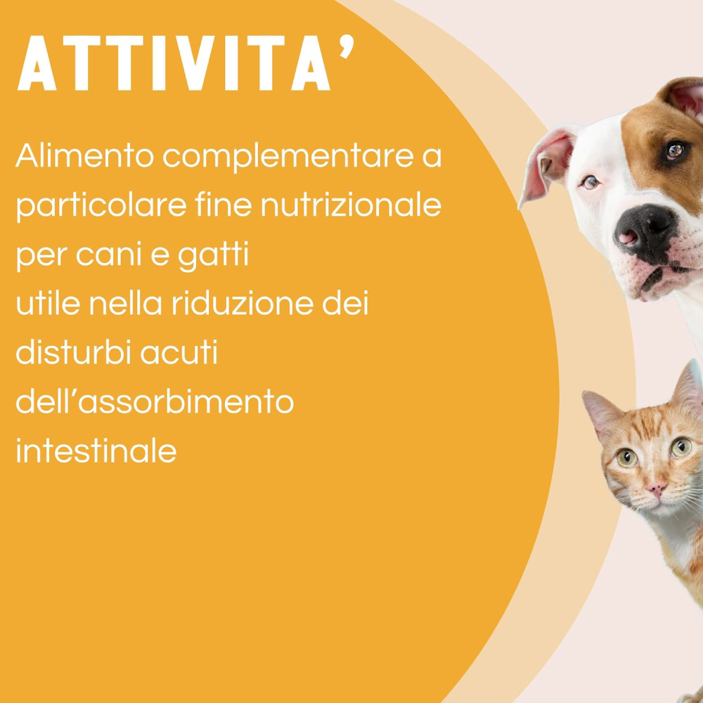 Cane e gatto con testo informativo nutrizionale