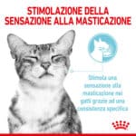 RC-SPT-WET-SensFeelMIJ-CV-1-it_IT