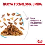 RC-SPT-WET-SensFeelMIJ-CV-3-it_IT