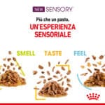 RC-SPT-WET-SensSmellCIG-CV-2-it_IT