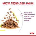 RC-SPT-WET-SensSmellCIG-CV-3-it_IT