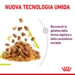 RC-SPT-WET-SensSmellCIJ-CV-3-it_IT