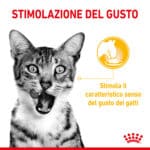 RC-SPT-WET-SensTasteCIG-CV-1-it_IT