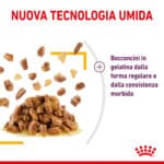 RC-SPT-WET-SensTasteCIJ-CV-3-it_IT