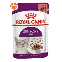 Royal Canin Cat Sensory Feel in Salsa