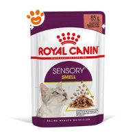 Royal Canin Cat Sensory Smell in Salsa