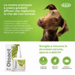 icf-dog-cat-otoact-gallery-4