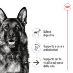 Pastore tedesco con benefici nutrizionali illustrati