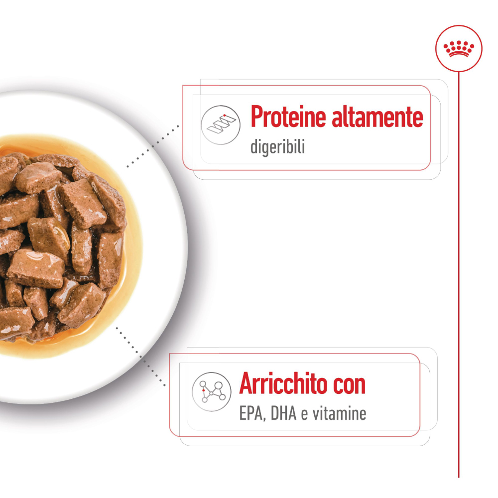 Cibo umido per cani ricco di proteine
