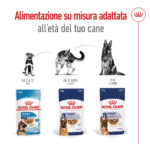Cibo Royal Canin per cane per età