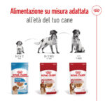 Cibo Royal Canin per cane per età