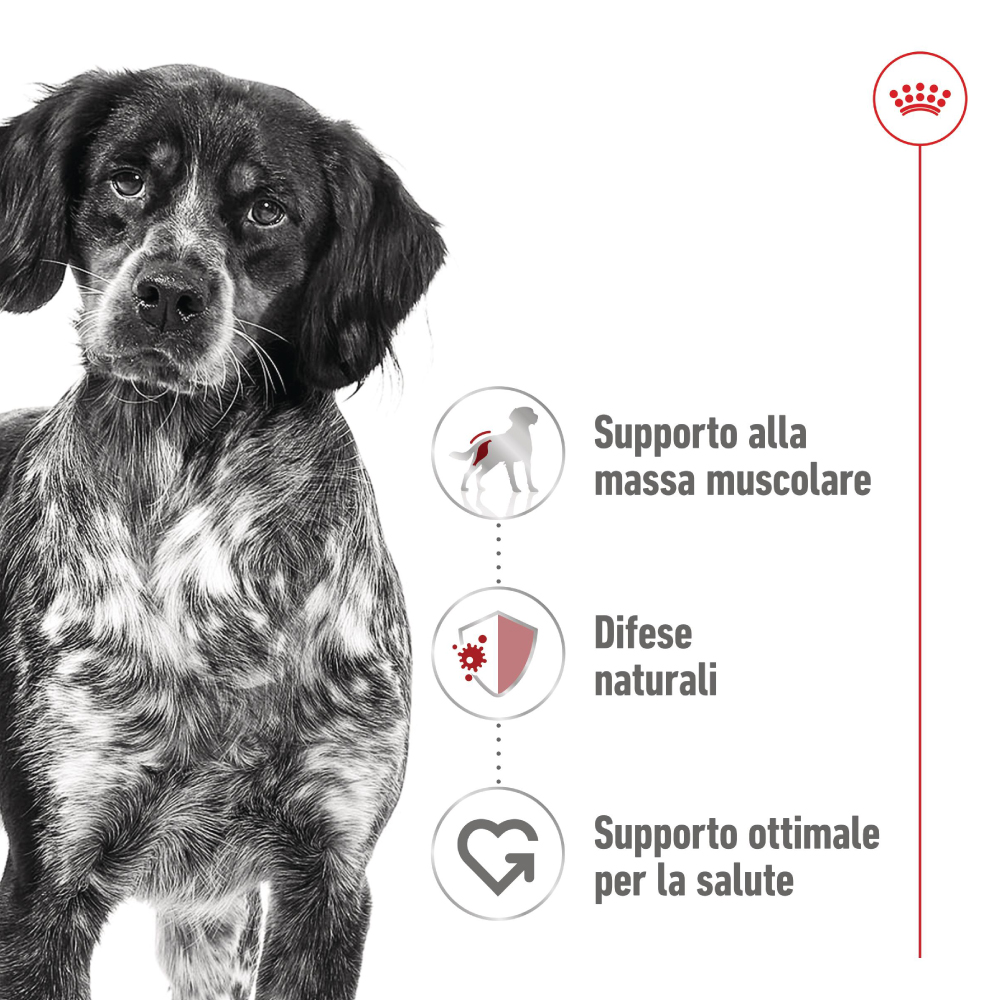 Cane bianco e nero con benefici nutrizionali